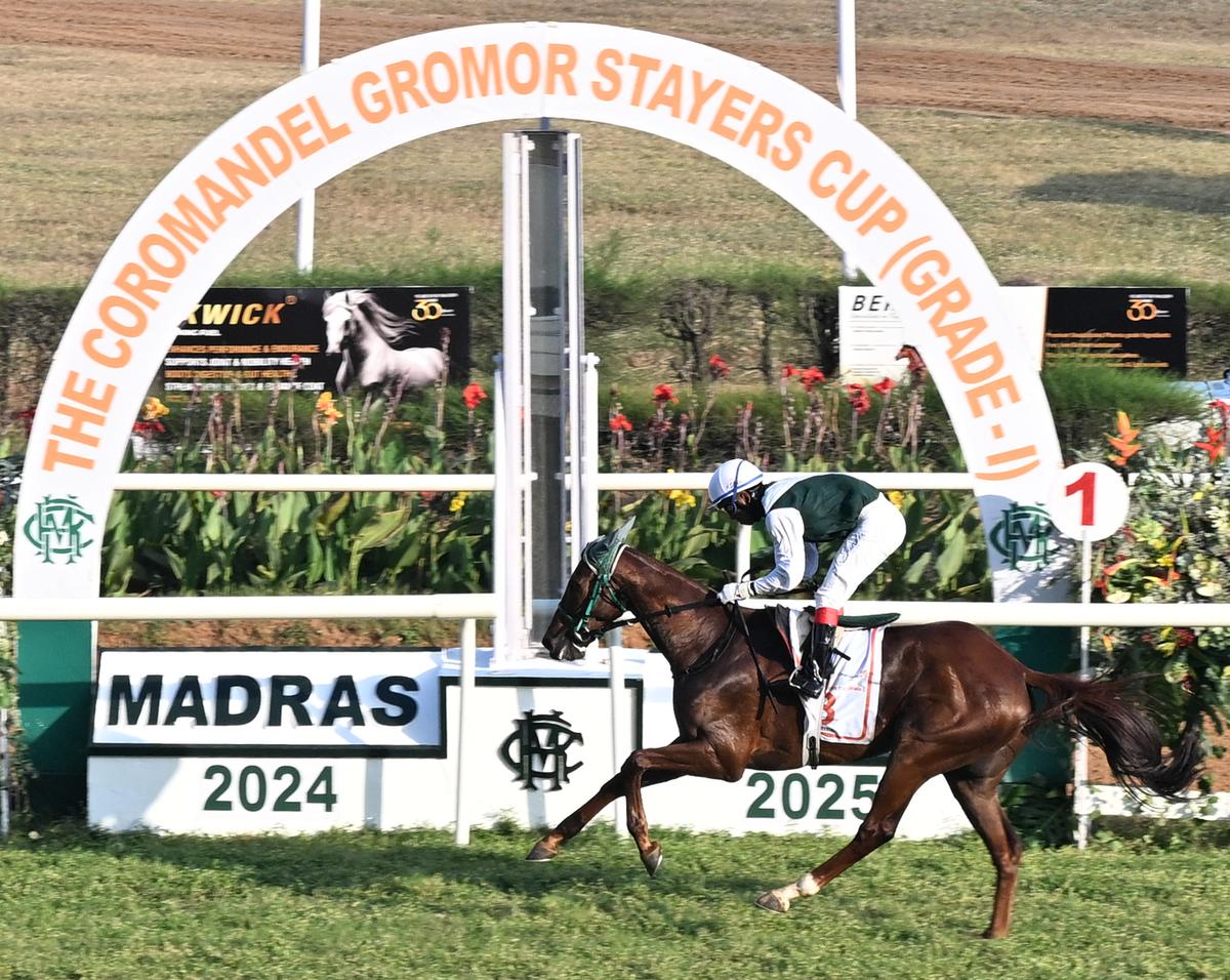 A. Sandesh steering Ramiel past the post in the Coromandel Gromor Stayers Cup (Grade 1) at the Madras Race Club, in Chennai on Saturday. 